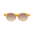 Poc AVAIL, sunglasses