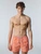 North Sails MEN'S SWIMWEAR BASIC VOLLEY 673586