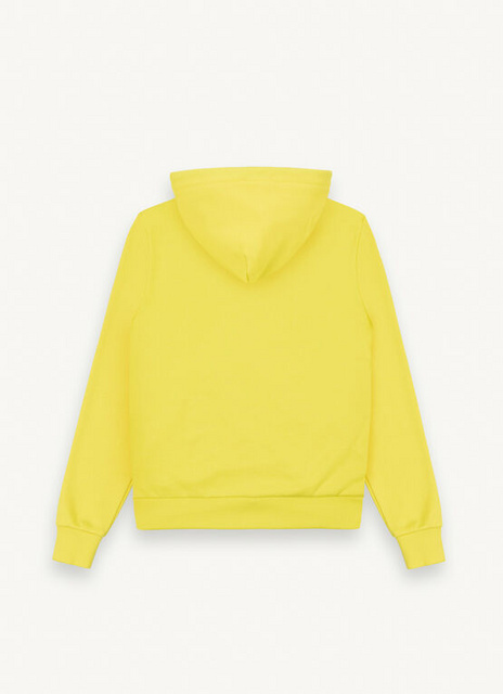 Picture of Colmar MEN'S SWEATSHIRT WITH HOOD 8293 5TK