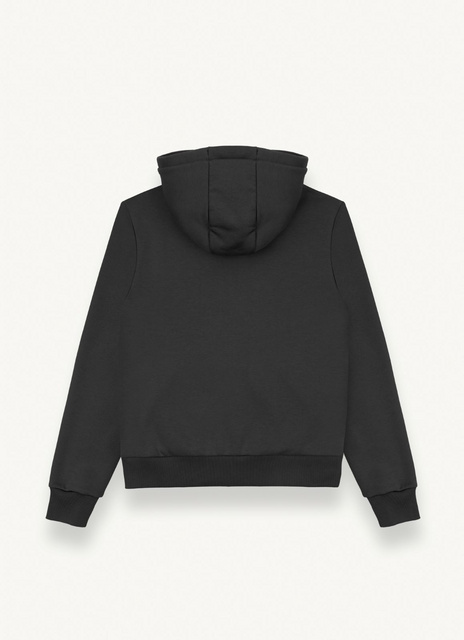 Picture of Colmar MEN'S SWEATSHIRT WITH HOOD 8240R 1WX