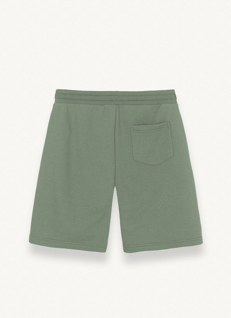 Picture of Colmar MEN'S SHORTS 8244R 5WS