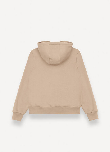 Picture of Colmar MEN'S HOODIE 8234 1WX