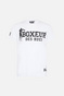 Boxeur MEN'S T-SHIRT ICONIC LOGO BXM0200002