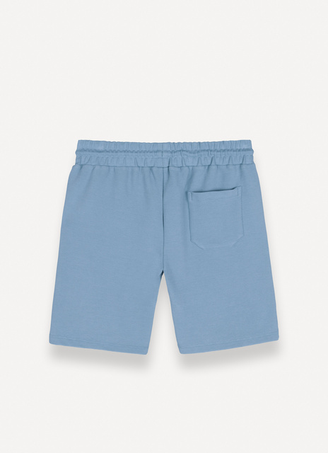 Picture of Colmar MEN'S SHORTS 6156R 1XL