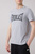 Everlast T-SHIRT, men's T-shirt