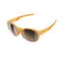 Poc AVAIL, sončna očala