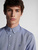 North Sails SHIRT REGULAR BOTTON DOWN 664073, srajca
